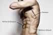 Ab Workout