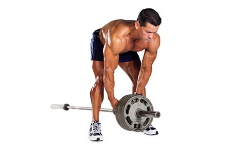 Bent Over T-Bar Rows