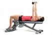 Chest Press Exercise