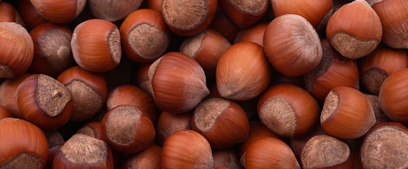 Benefits of Hazelnuts